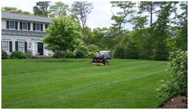 Cape Cod Lawn Mowing and Property Maintenance services